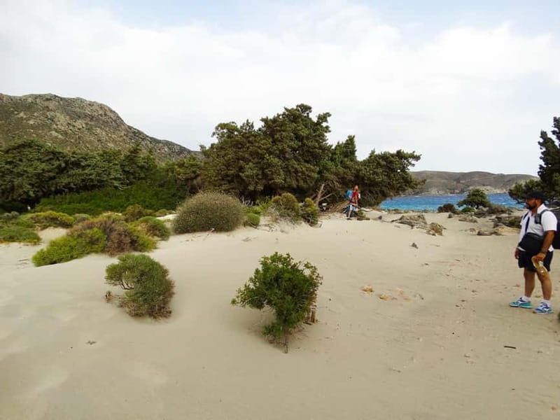 Elafonisi Bay - PINK COLOR SAND BEACH - Who should book this Elafonisi day trip, and who should skip it