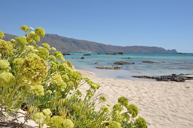 Elafonissi Beach Crete Day Trip - Price and value: what you pay, what you get