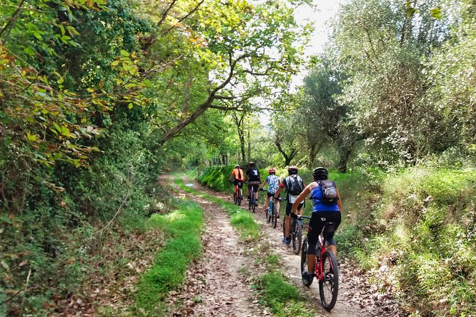 Eleftherna E-Bike and MTB Tour - Experience The Authentic Crete - Key highlights to know before you go