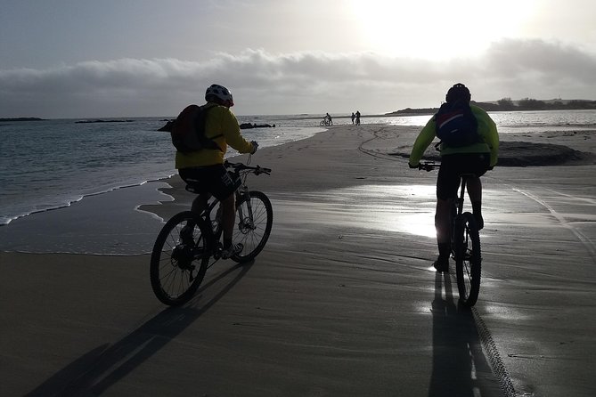 Eleftherna E-Bike and MTB Tour - Experience The Authentic Crete - The taverna beverage stop, and how to use it well