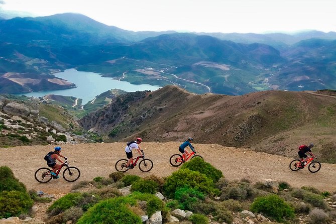Eleftherna E-Bike and MTB Tour - Experience The Authentic Crete - Pace, group size, and what that means for you