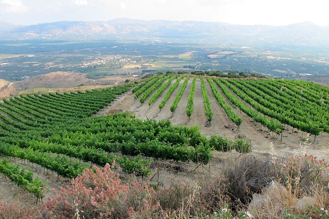 Exclusive Jeep Tour, South Crete, Winery, Donkeys, Secret Beach - Price and value: $442.15 per group, up to 4, and what’s actually included