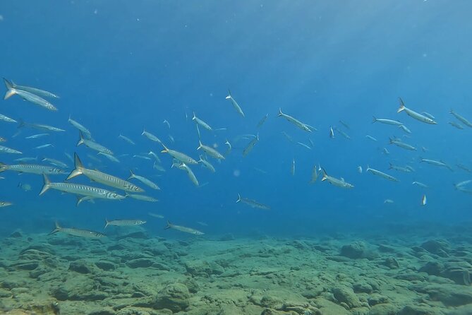 Experience Scuba Diving in Heraklion Crete - What You Get for the Price: Is $119.47 Worth It?