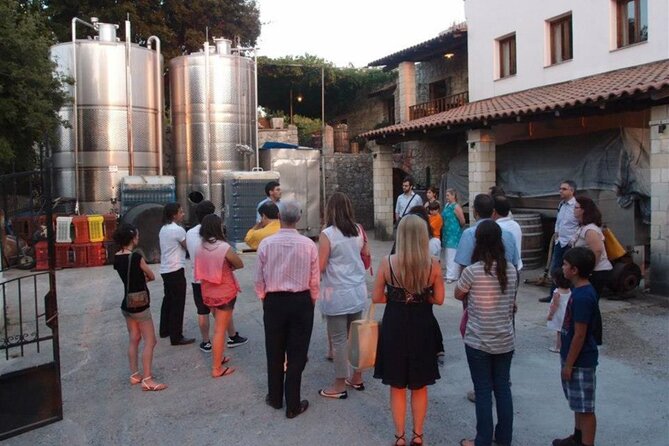 Explore Askifou History Wine Tasting and Culture in Crete - War Museum Askifou and WWII artifacts you can actually see