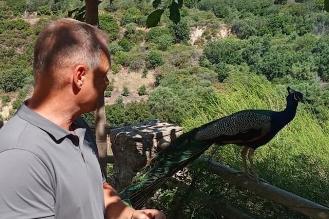 Explore Botanical Garden Mountain Views and Culture in Crete - Botanical Garden of Crete: Herbal Tea and a Guided Walk You Can Use