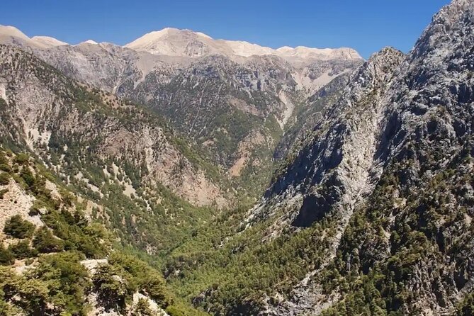 Explore Botanical Garden Mountain Views and Culture in Crete - Price and Value: What $228.66 Covers, and What It Does Not