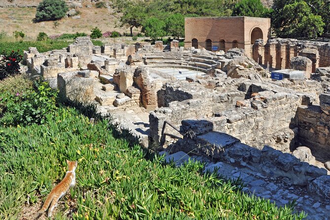 Explore Cretan culture on a day trip - Who This Tour Suits Best (and Who Might Skip It)