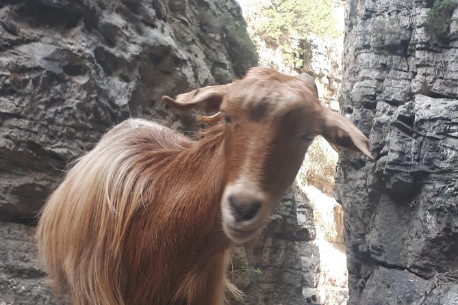 Explore IMBROS GORGE. - Imbros Gorge, the easy option that still feels real
