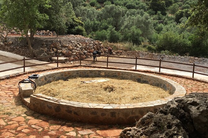 Explore Shepherd’s Hut and Cheese Making Process - Axos village lunch with Cretan platters and big view energy