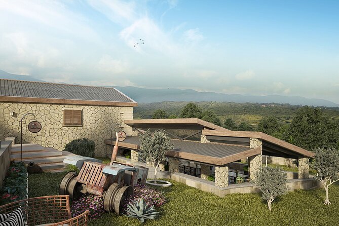 Explore the Secrets of Wine and Olives - What to expect from the full 7-hour timing