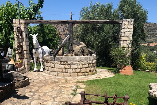 Explore the Secrets of Wine and Olives in Rethymno - Morning plan: pickup, timing, and what the day feels like
