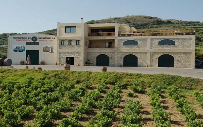Flavors of Crete from Chania: Wine & Olive Oil Tasting Tour - The small things that make the day smoother