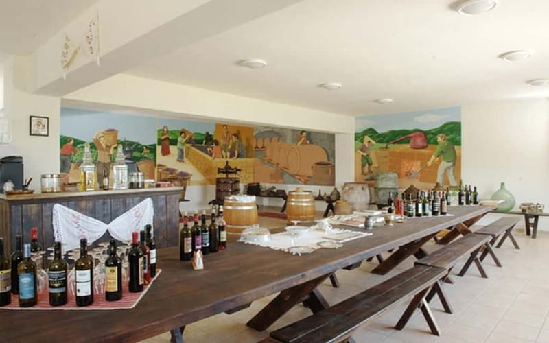 Flavors of Crete from Chania: Wine & Olive Oil Tasting Tour - What to bring, how much walking, and who should reconsider