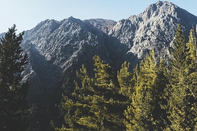 For the Wild Ones: White Mountains & Samaria Gorge Sightseeing - Guide Service: What Michalis and a Local Expert Change