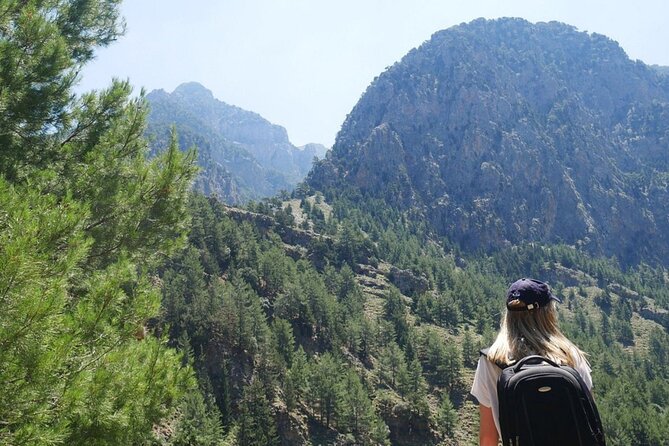 For the Wild Ones: White Mountains & Samaria Gorge Sightseeing - Timing in the 7:00 AM to 10:00 AM Window