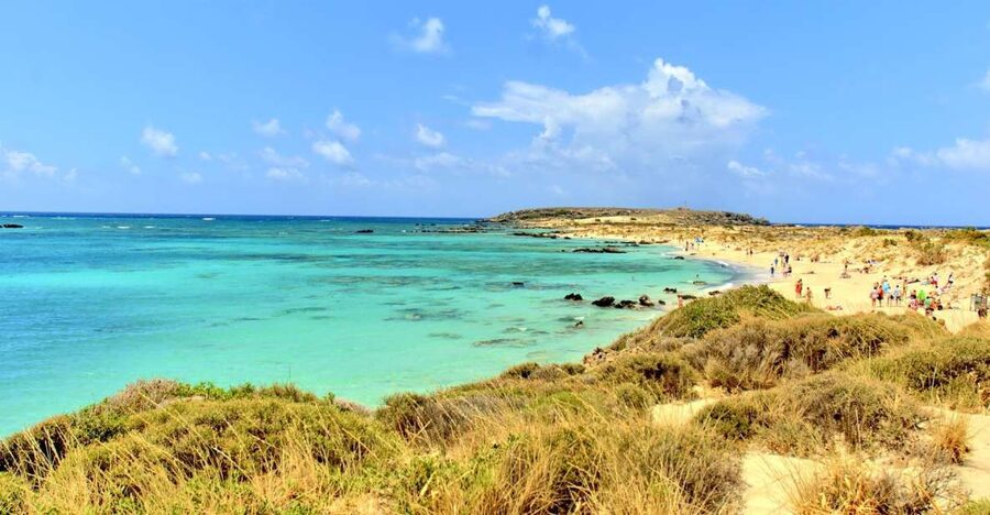 From Chania Area: Day Trip to Elafonisi Island by Bus - Coffee Stop Plus a Local Honey Touch on the Way