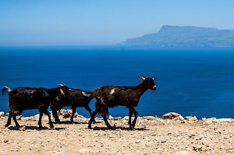 From Chania: Balos Lagoon & Falassarna Private 4WD Road Trip - Pace, timing, and what to actually pack