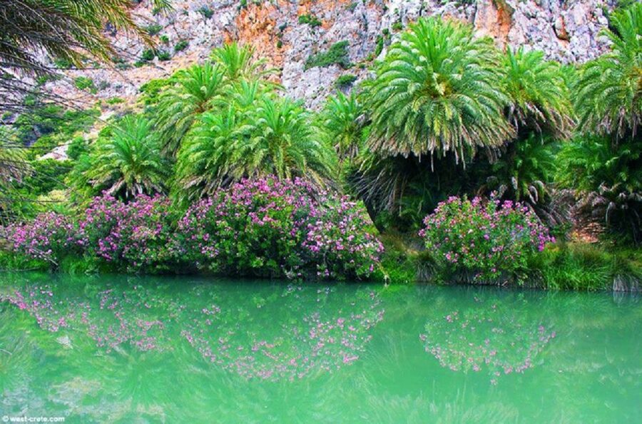 From Chania: Day Trip to Preveli Palm Beach - Price and Extras: What You Pay for, What You Should Budget