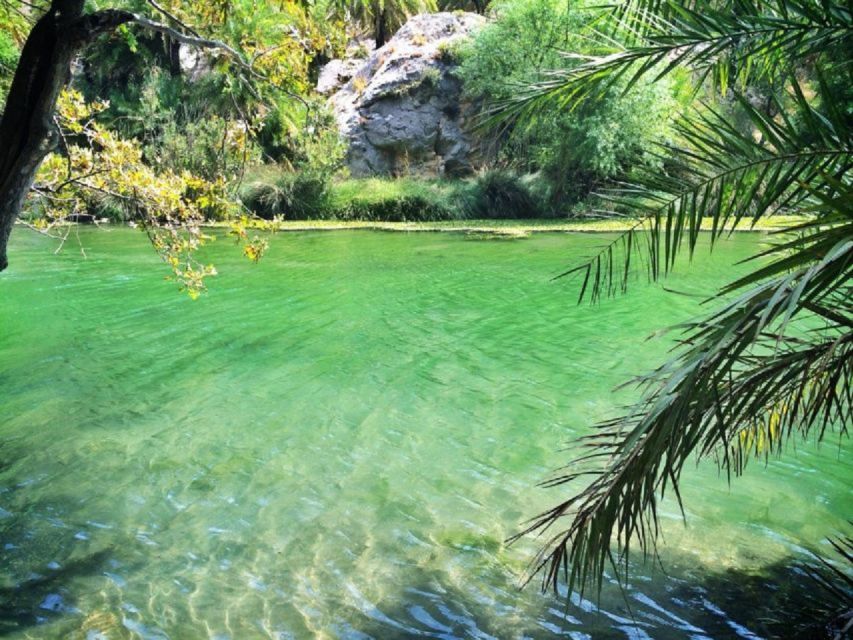 From Chania: Day Trip to Preveli Palm Beach - Should You Book This Preveli Day Trip?