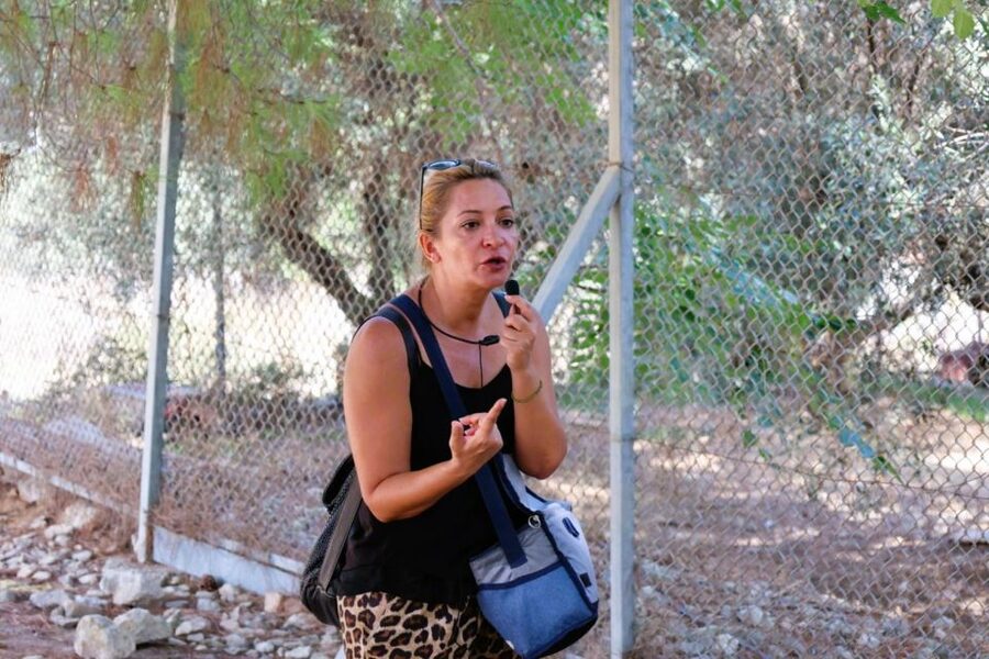 From Chania: Full-Day Heraklion Highlights Guided Tour - Group Size and Comfort: Why the Ride Quality Matters Here