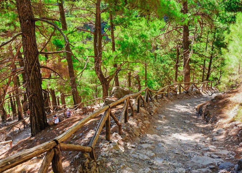 From Chania: Full-Day Samaria Gorge Trek Excursion & Guide - Ferry to Sougia and the bus back around 8:30 PM