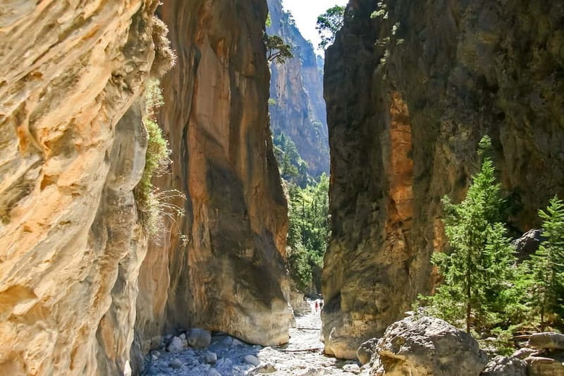 From Chania: Full-Day Samaria Gorge Trek Excursion & Guide - What to bring and how to avoid the most common pain points