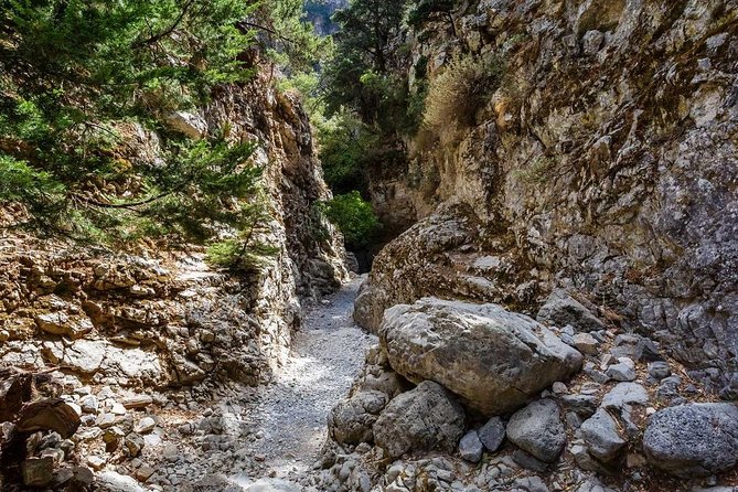 From Chania: Imbros Gorge and Sfakia Experience Hike & Swim - Coach Timing From Chania: a long day that starts early