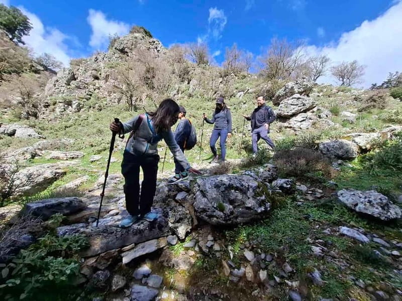 From Chania: Imbros Gorge Hike&Authentic Culinary Experience - Should you book this Imbros Gorge and Askifou culinary day?