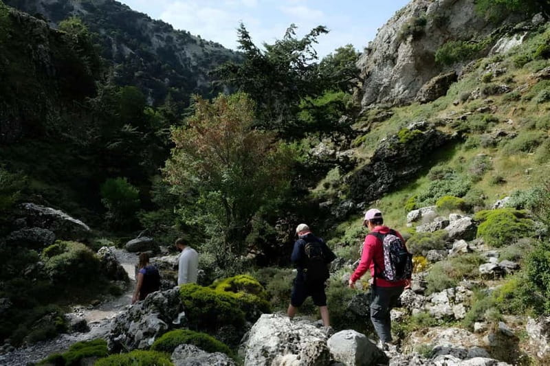 From Chania: Imbros Gorge Hike&Authentic Culinary Experience - Price and value: what $365 per person buys you