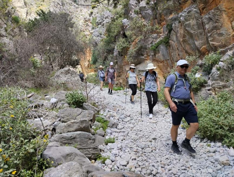 From Chania: Imbros Gorge Hike&Authentic Culinary Experience - Who should book this, and who should skip it