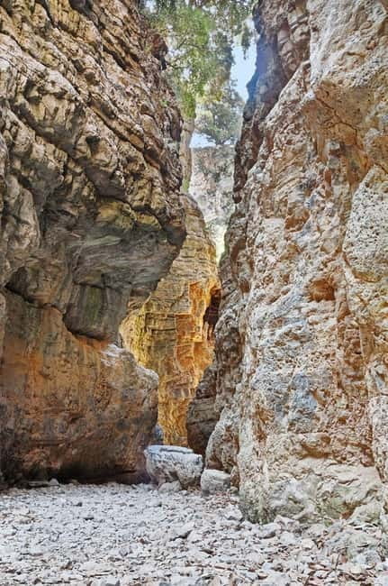From Chania:Imbros Gorge Tour with Professional Hiking Guide - Walking the 9 km gorge: easy-to-moderate, but rocky and sometimes crowded