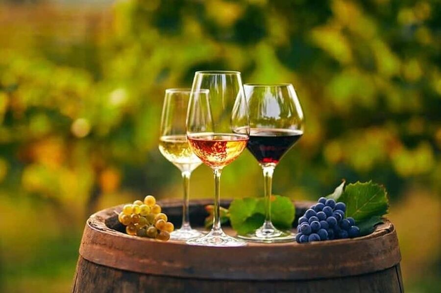 From Chania: Olive Oil, Wine, Cheese & Honey Tasting Tour - Why this Chania tasting tour feels like real Cretan life