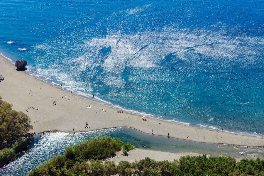 From Chania: Preveli Palm Beach Day Tour - Preveli Palm Forest: marked paths and Theophrastus palms