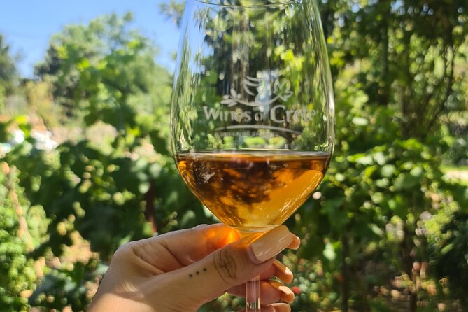 From Chania Private half day Winery-Olive factory-Kournas lake - Who should book this Chania private wine and olive day