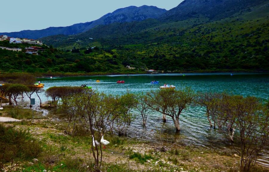 From Chania: Rethymno, Lake Kournas & Olive Oil Tasting Tour - On the Water at Kournas: Pedal Boat Time and Turtle Spotting