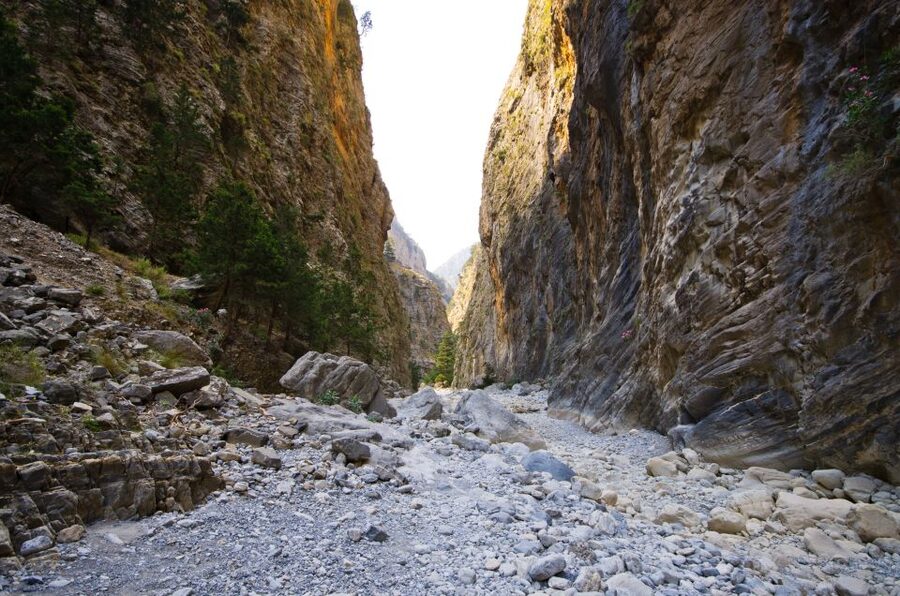 From Chania/Rethymno: Samariá Gorge Guided Hike with Pickup - Wild forests, springs, and “walk time” that passes faster than you expect