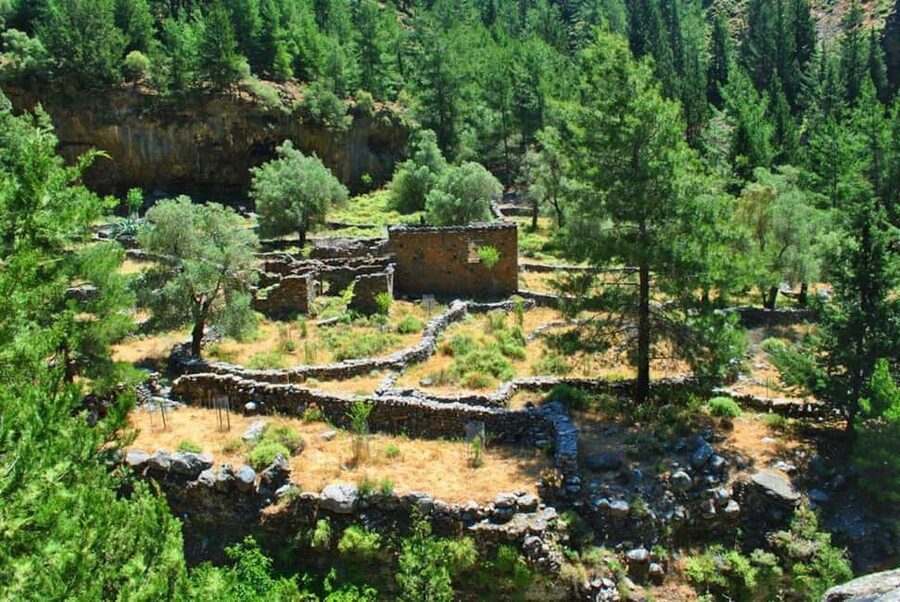From Chania: Samaria Gorge Full-Day Guided Hiking Tour - At the Gorge Entrance: Start Around 7:00 AM and Expect 600 Steps