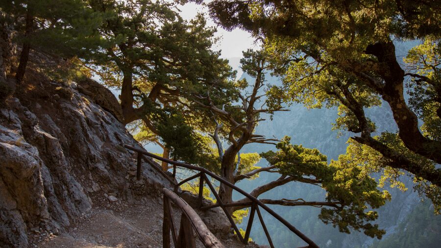 From Chania: Samaria Gorge Full-Day Guided Hiking Tour - The National Park Walk: Why the 5.5 Hours Is the Real Work