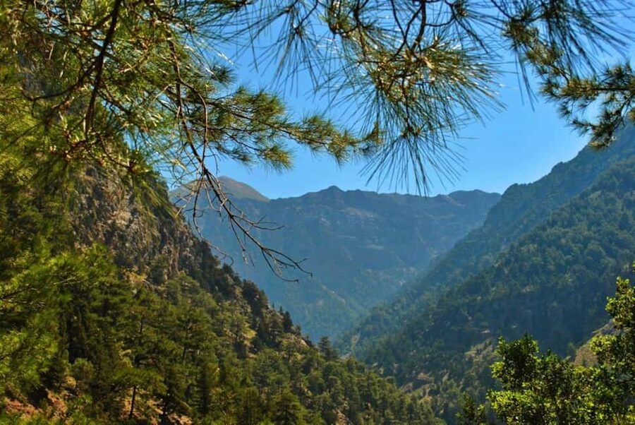 From Chania: Samaria Gorge Full-Day Guided Hiking Tour - Agia Roumeli Break: Beach Time, Shopping, and Lunch Choices