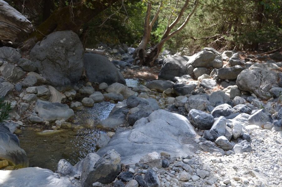 From Chania: Samaria Gorge Hike with Local Mountain Guide - Ferry to Sougia and the Ride Back to Chania