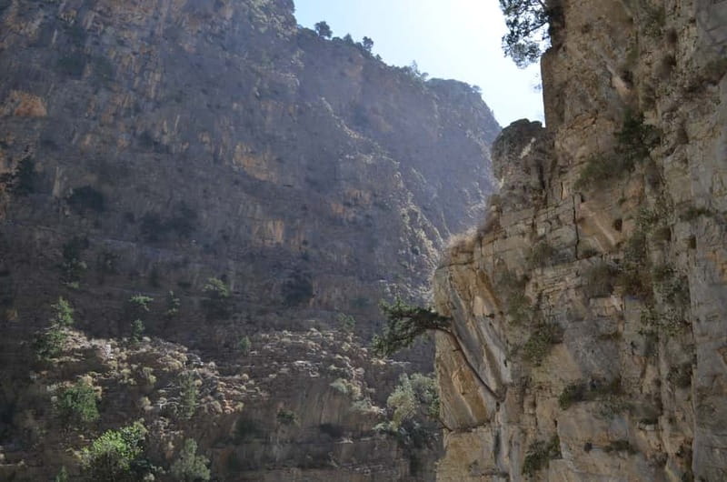 From Chania: Samaria Gorge Hike with Local Mountain Guide - Pickup, Omalos Plateau Stop, and That Breakfast Choice