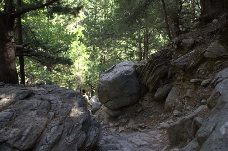 From Chania: Samaria Gorge Hike with Local Mountain Guide - Omalos to the Gorge Entrance: Xyloskalo and Getting Oriented