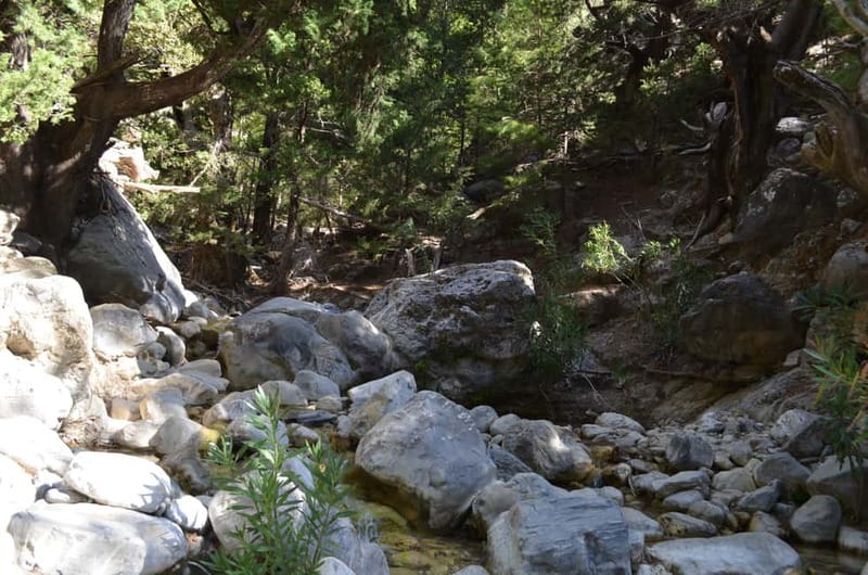 From Chania: Samaria Gorge Hike with Local Mountain Guide - Walking the National Park Trail: Pace Freedom With Real Guidance