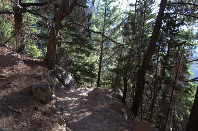 From Chania: Samaria Gorge Hike with Local Mountain Guide - Water, Toilets, and the Stuff That Keeps You Comfortable