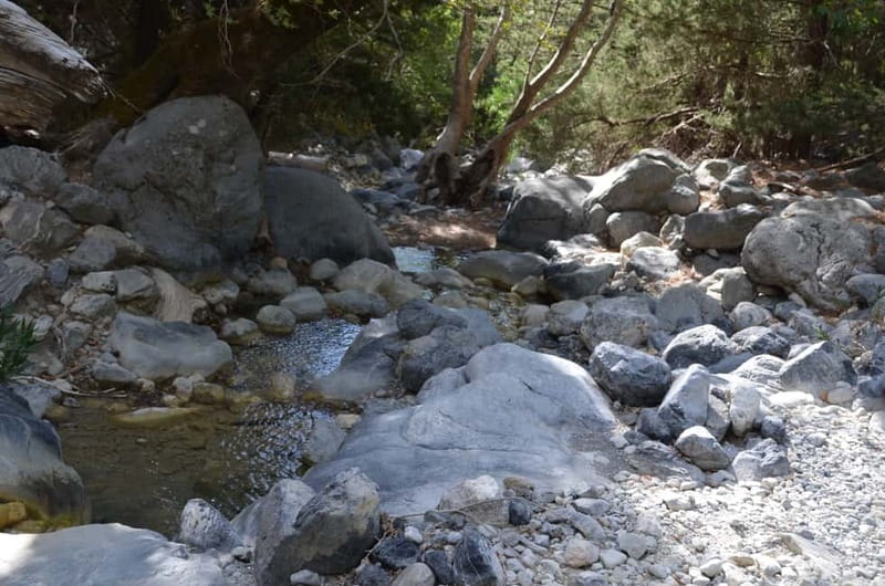 From Chania: Samaria Gorge Hike with Local Mountain Guide - Before You Enter: Cafe Stop Tips and Walking Poles