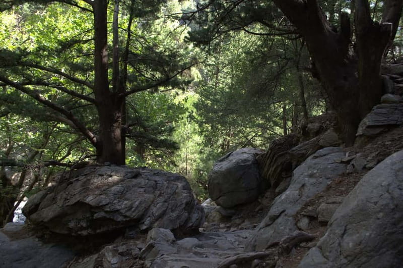 From Chania: Samaria Gorge Hike with Local Mountain Guide - Agia Roumeli Finish: Beach Time, Cold Water Rinse, and Lunch
