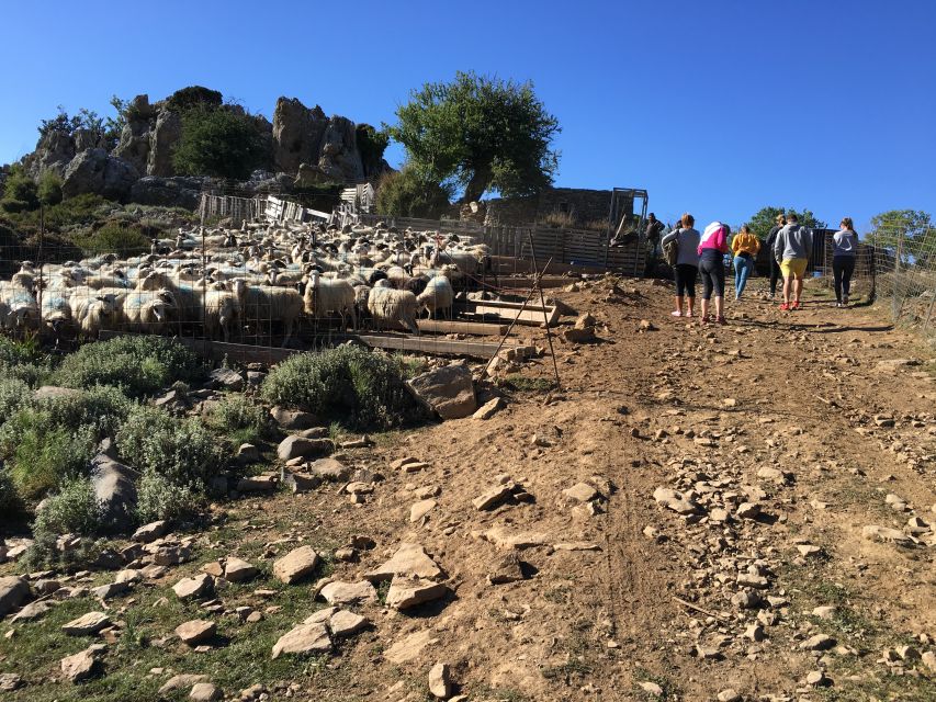 From Chania: White Mountains Land Rover Safari - Price and value: what $100 per person really covers