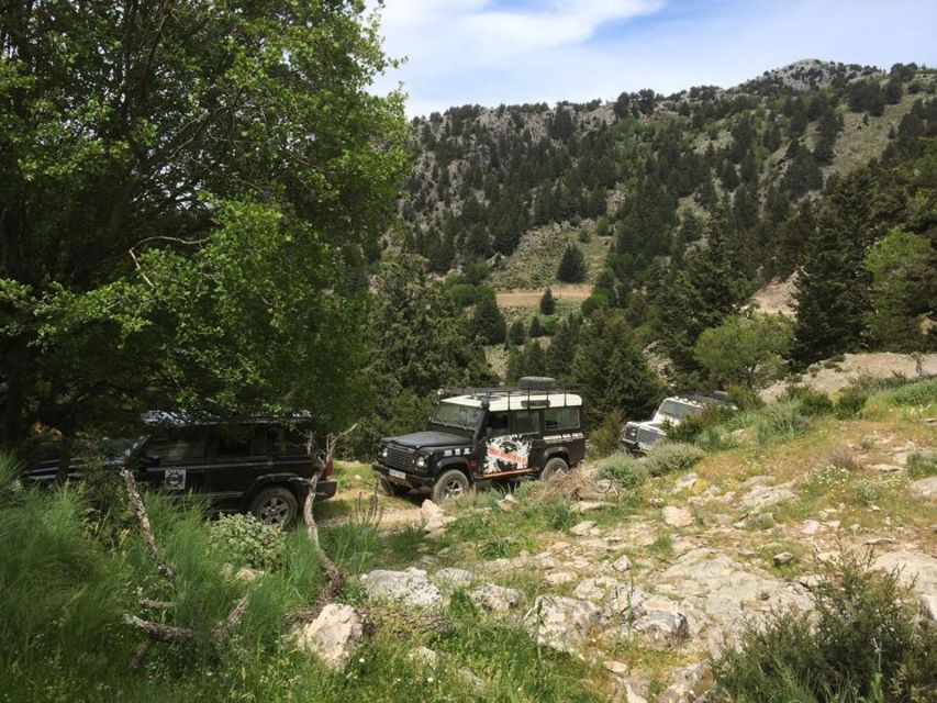 From Chania: White Mountains Land Rover Safari - Therisso gorge on the way back: a dramatic closer