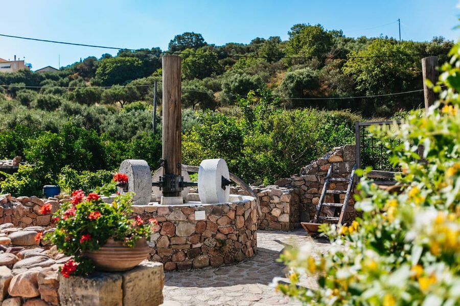 From Chania: Wine and Olive Oil Tasting Tour with Snacks - Who Should Book This Tour (and Who Might Skip It)