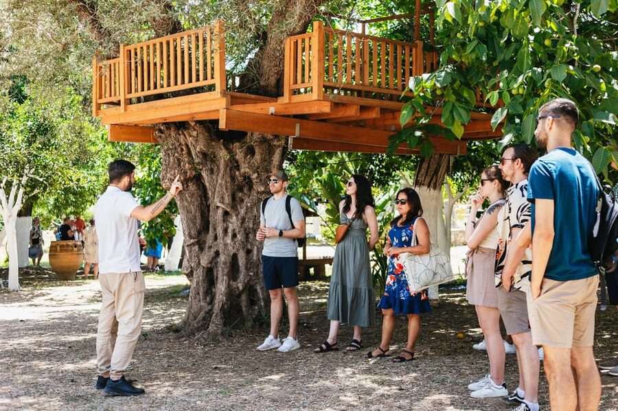 From Chania: Wine and Olive Oil Tasting Tour with Snacks - How the 6-Hour Chania to Kissamos Route Actually Feels